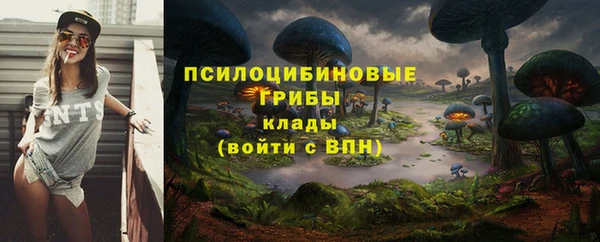 спайс Алексеевка