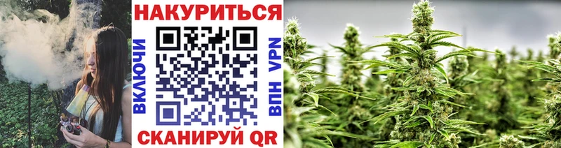 Бошки марихуана планчик  darknet телеграм  Томск  наркотики 